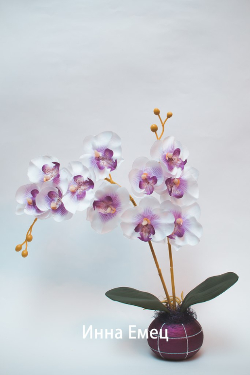 Орхидеи