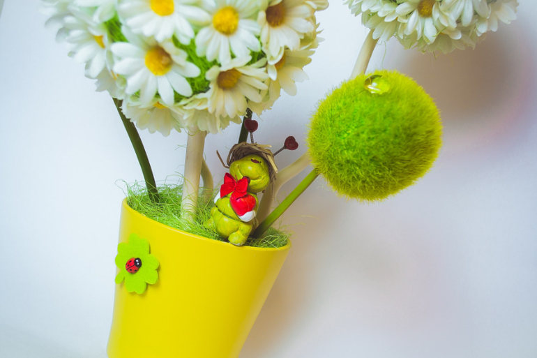 Ромашки...ромашки...ромашки..