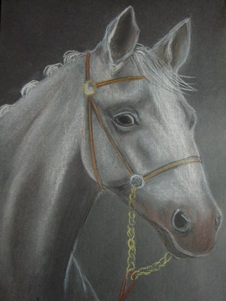 Рисунки