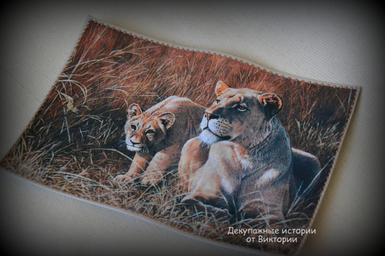 Обложка на паспорт "Прайд"