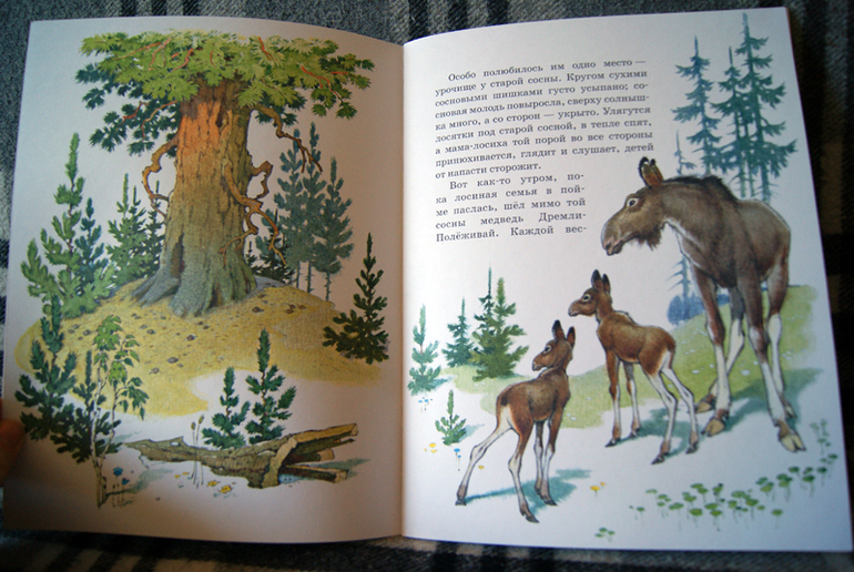 Наше пополнение - Нигма