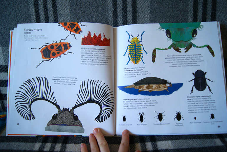 Наши новиночки