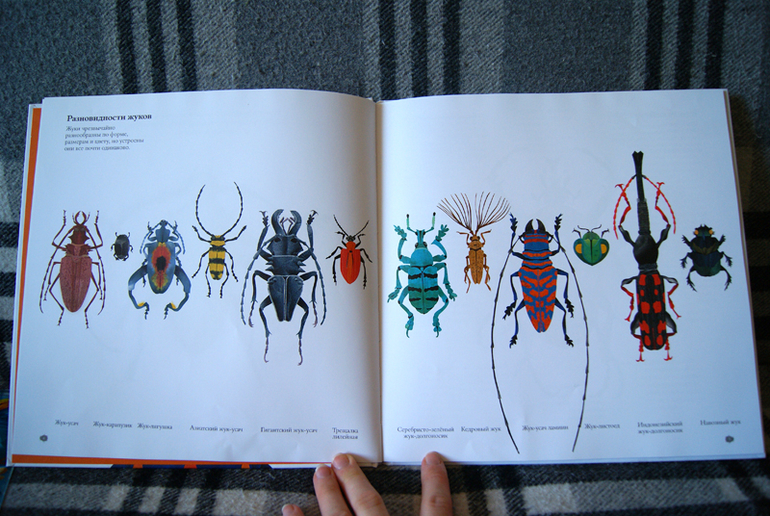 Наши новиночки