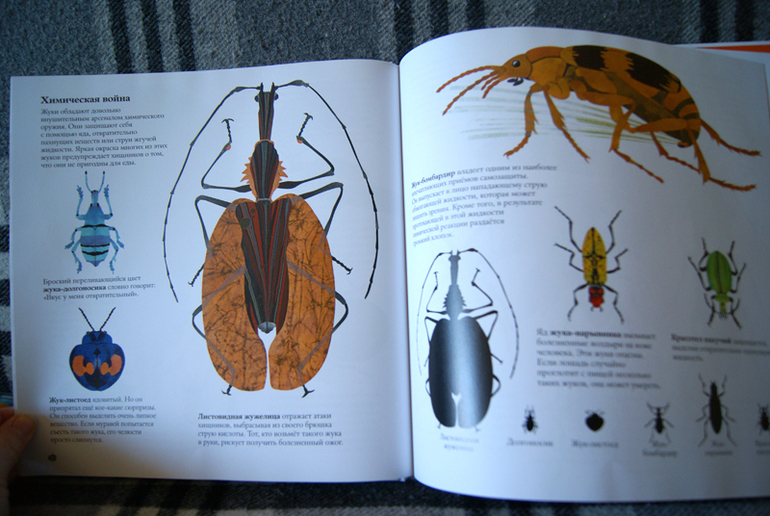 Наши новиночки