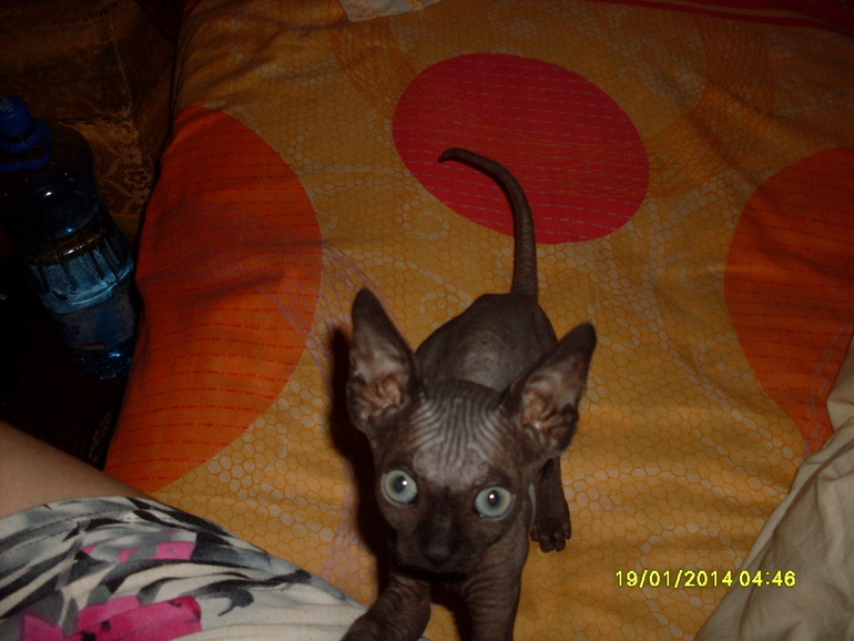 Давняя мечта - удвоилась!!!