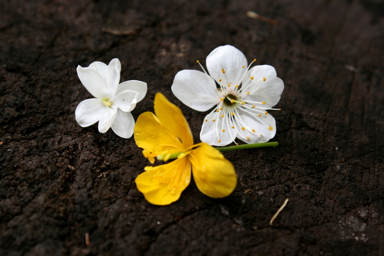 После Дождя