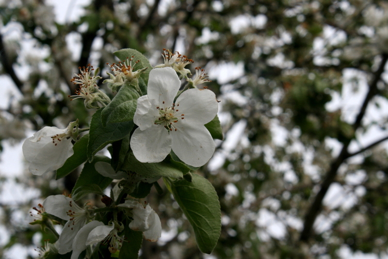После Дождя