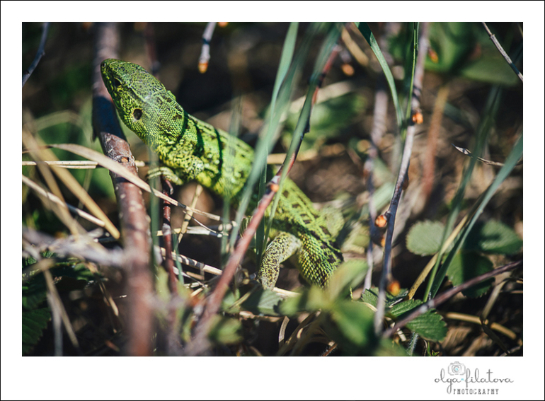 Настя - Том Сойер или хорошо в саду весной ) Часть 2.