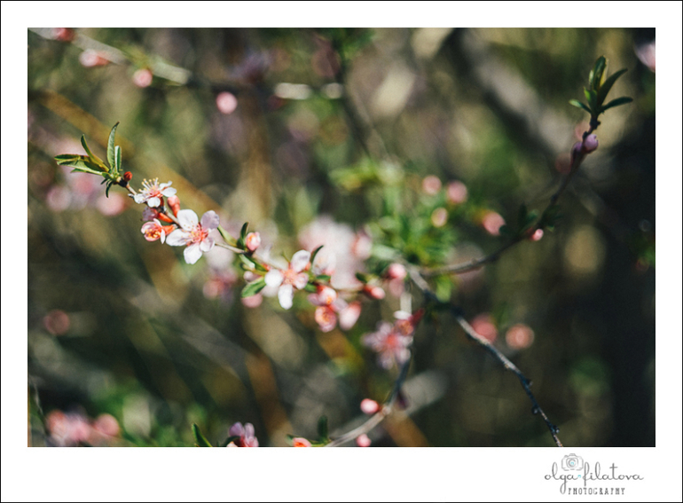 Настя - Том Сойер или хорошо в саду весной ) Часть 1.