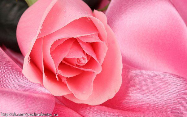 Девочки, всех с 8 марта!!!