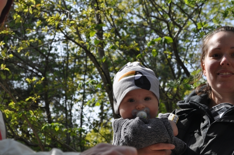 сын -папарацци))