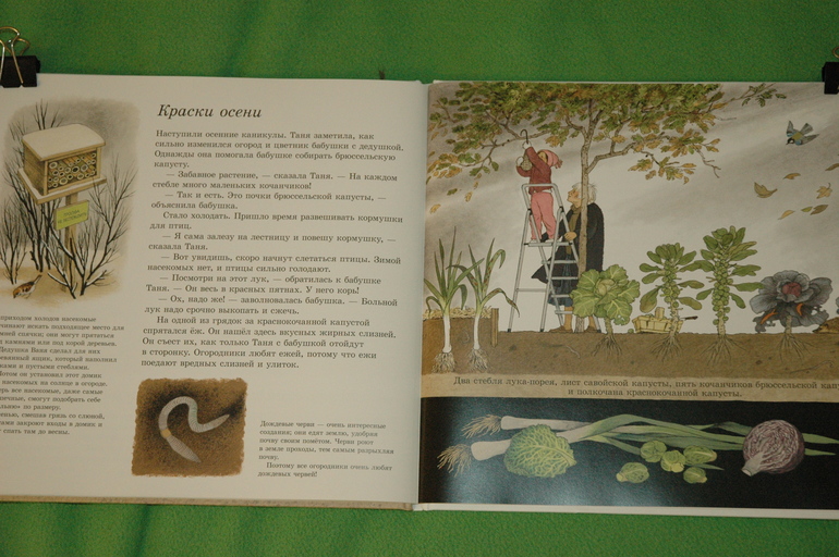 Наше книжное пополнение (Февраль 2014)