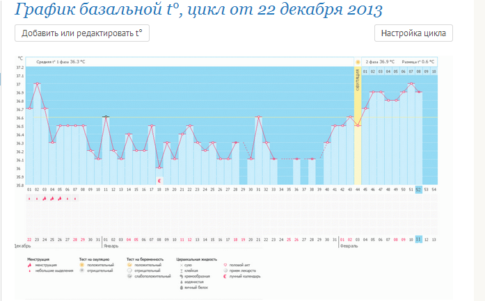 Ну что скажете? Какие ставки, дамы?