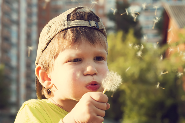 Одуванчиковое настроение)