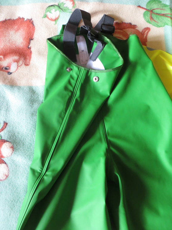 Наш дидриксон