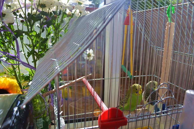 Мужчина моей мечты.