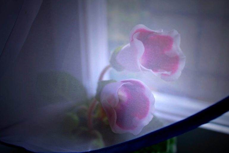 А у меня за шторкой...