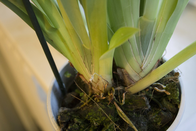 Продолжение)))))))