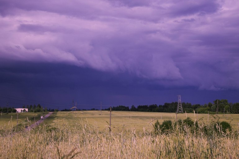 Вчера за домом...