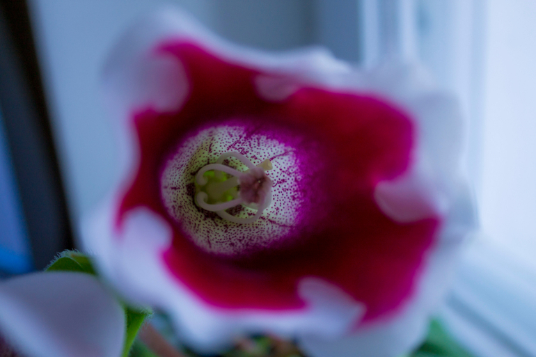 А у меня за шторкой...