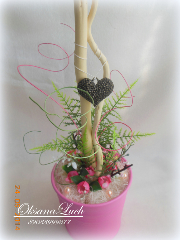 Новое деревце "Утро невесты". Высота 50 см.