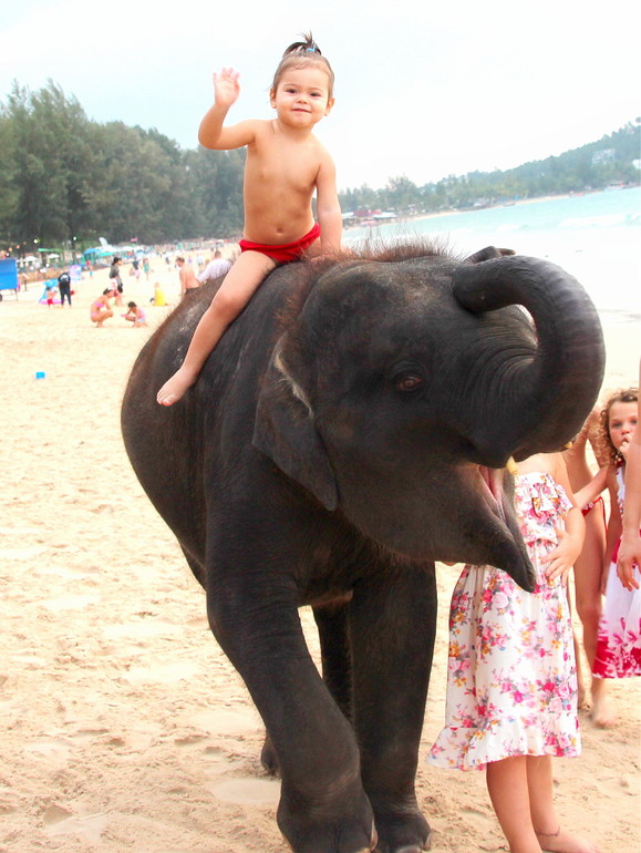 Две недели лета