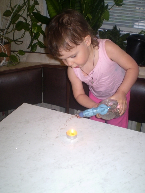 ТН Домашние животные Кошка