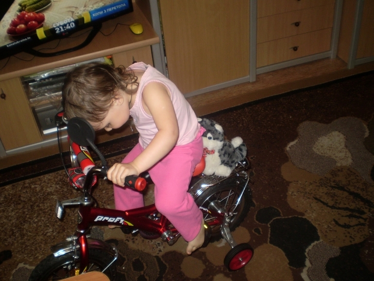 ТН Домашние животные Кошка