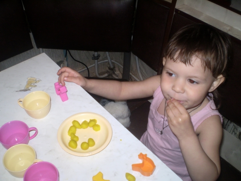 ТН Домашние животные Кошка