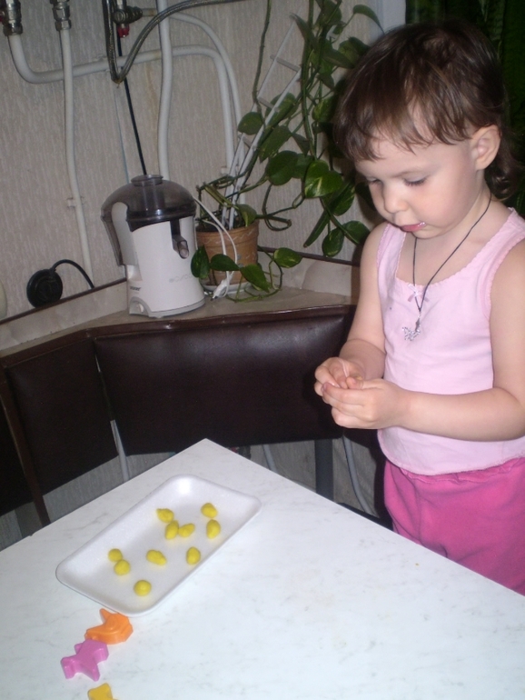 ТН Домашние животные Кошка