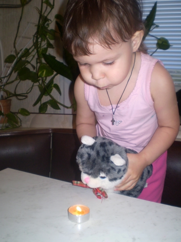 ТН Домашние животные Кошка