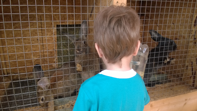 Конный парк Русь