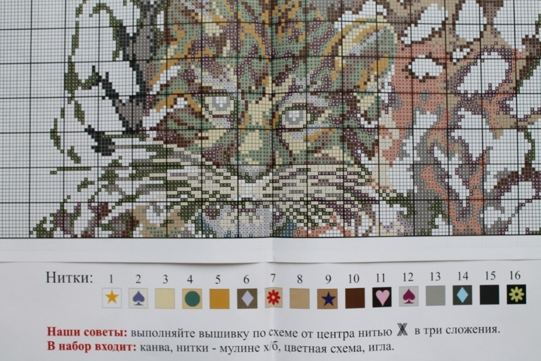 Хомка в восторге ))