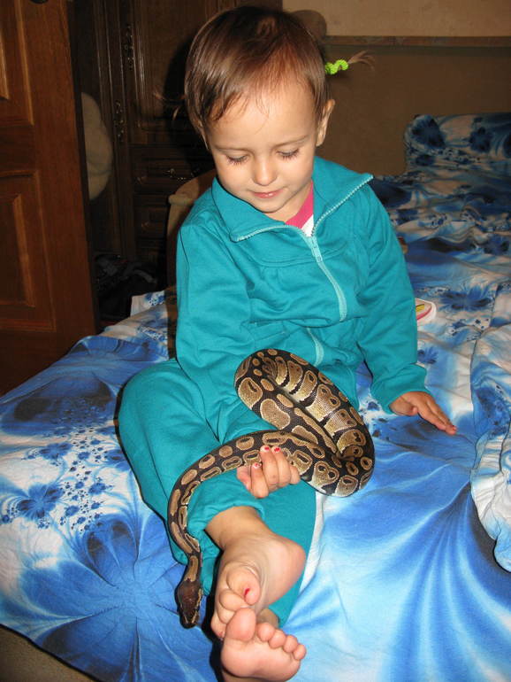 Еще один член нашей семьи:-)