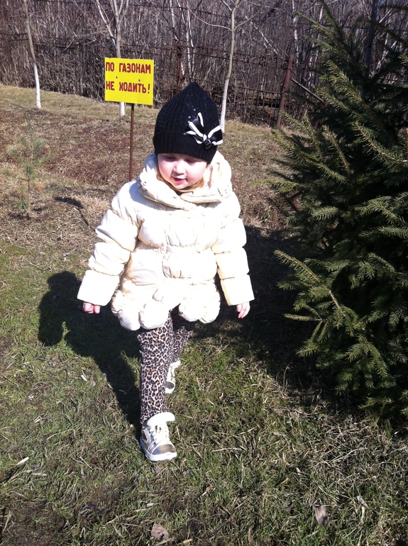 Сегодня