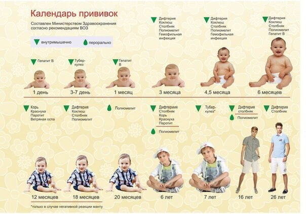 Прививочный календарь