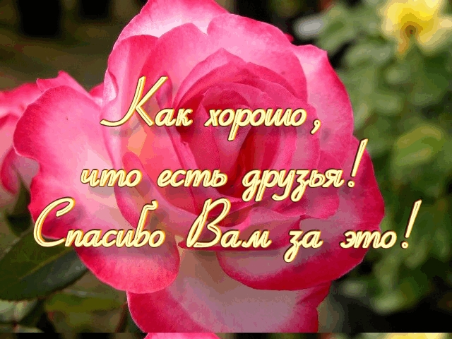 http://cdn2.imgbb.ru/user/37/370436/4adb3b8b5fd3c9f78dba20ed4e2b889d.jpg