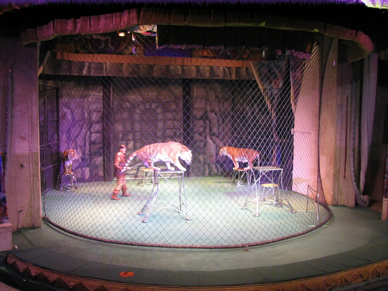 Замечательная новогодняя сказка!