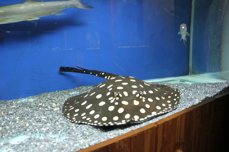 Насыщенная суббота