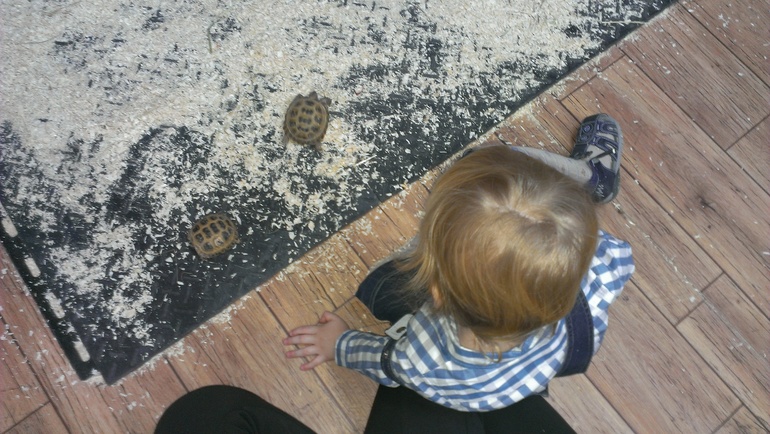 Насыщенная суббота