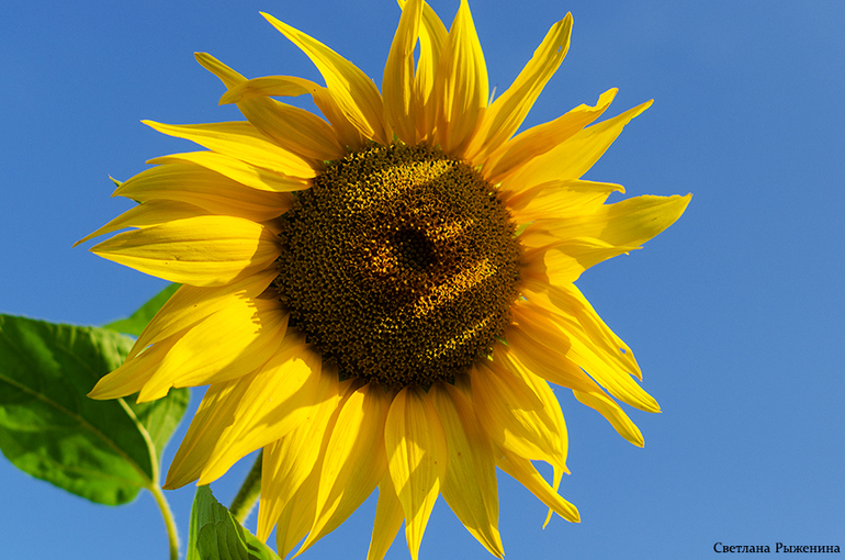 Я в отпуске!