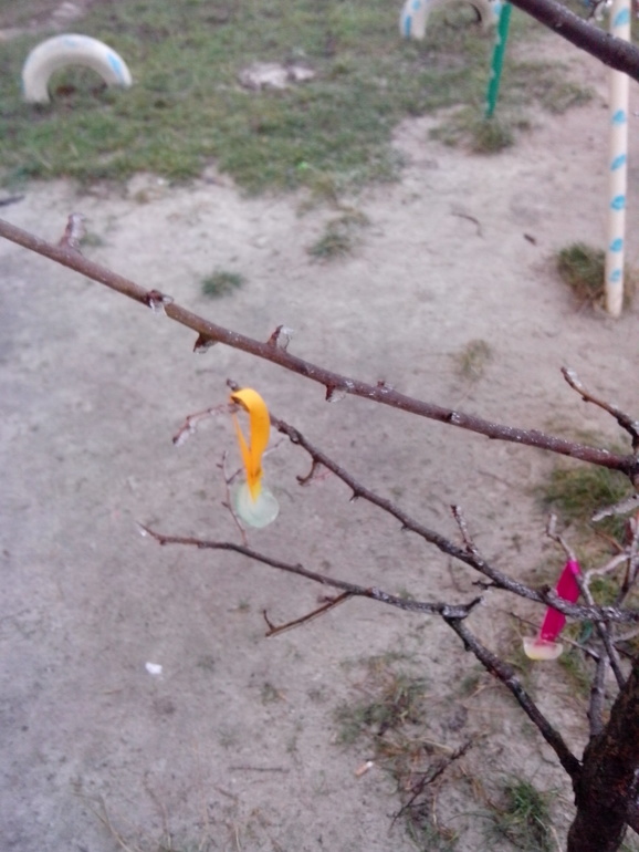 Наш адвент и подготовка к НГ