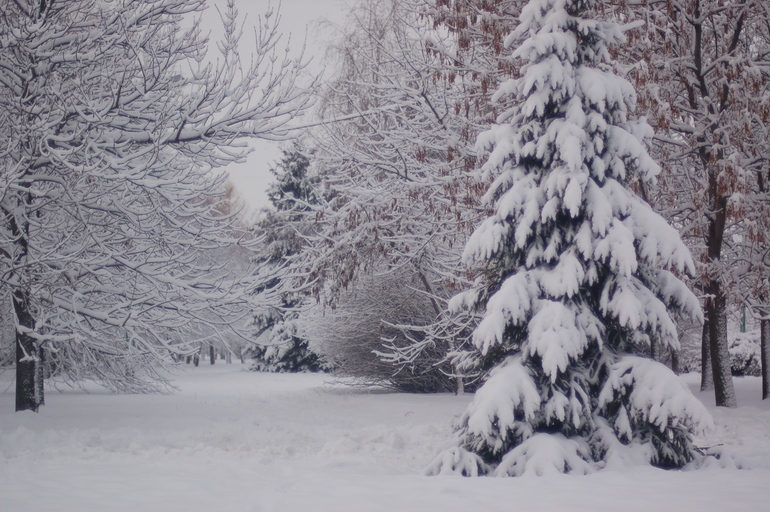 Let it snow, let it snow, let it snow!!!