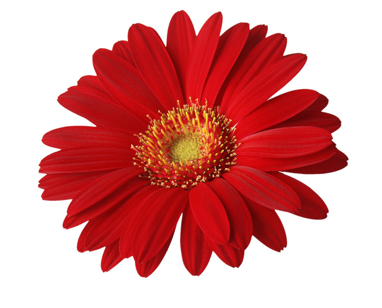 Контрольное задание № 10. Использование быстрой и обтравочной масок