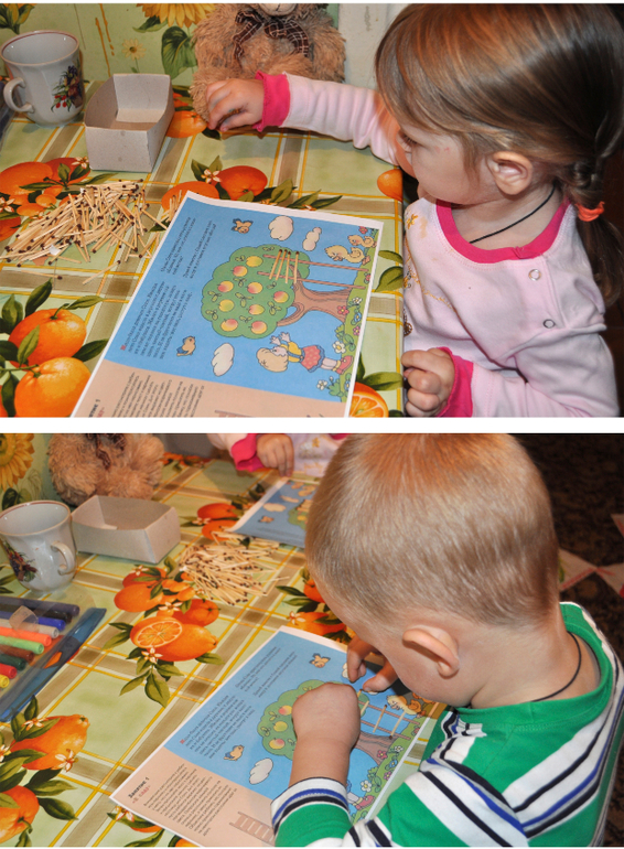 ТН Овощи, фрукты