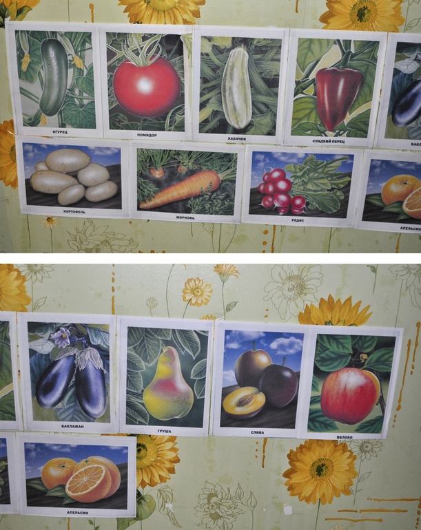 ТН Овощи, фрукты