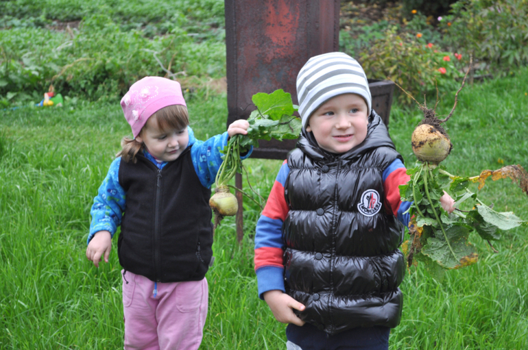 ТН Овощи, фрукты