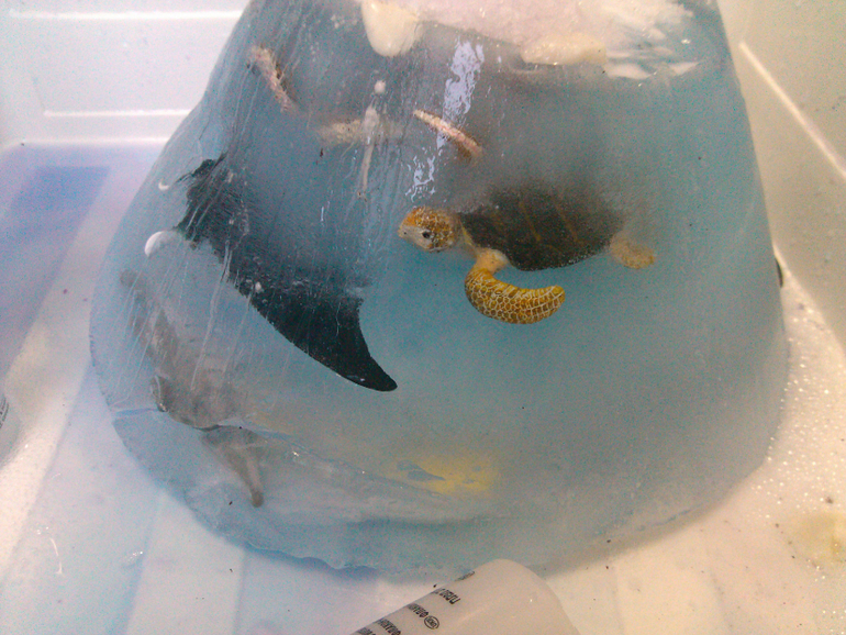 Наши коробочки-3)))