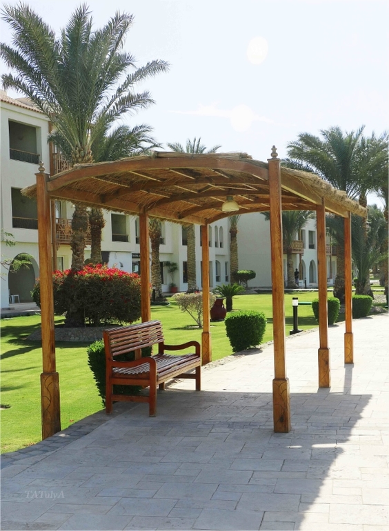 Наш неожиданный отдых в «Dana Beach» в Египте г. Хургада с 20.12-27.12.13