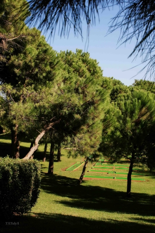 Отличный отдых в IC Green Palace, Турция, сентябрь 2013.